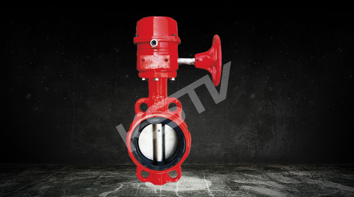 ������̖���y