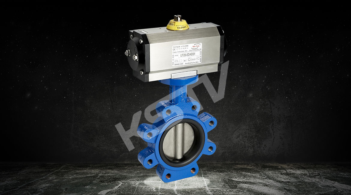 ���͹�����y