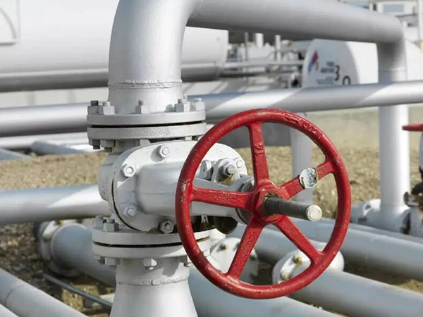 �y�T(m��n)й¶��ԭ���Լ�̎������